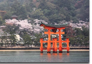 Miyajima_pic