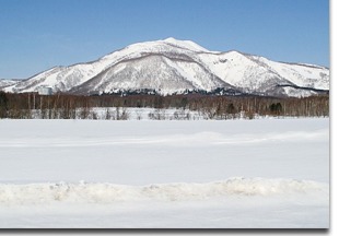 Niseko