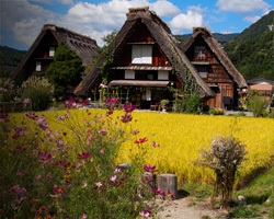 9day combination Takayama Tour