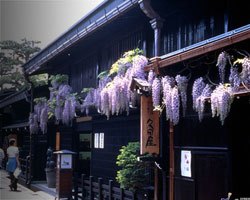 Takayama Short guided Tour Banner Image