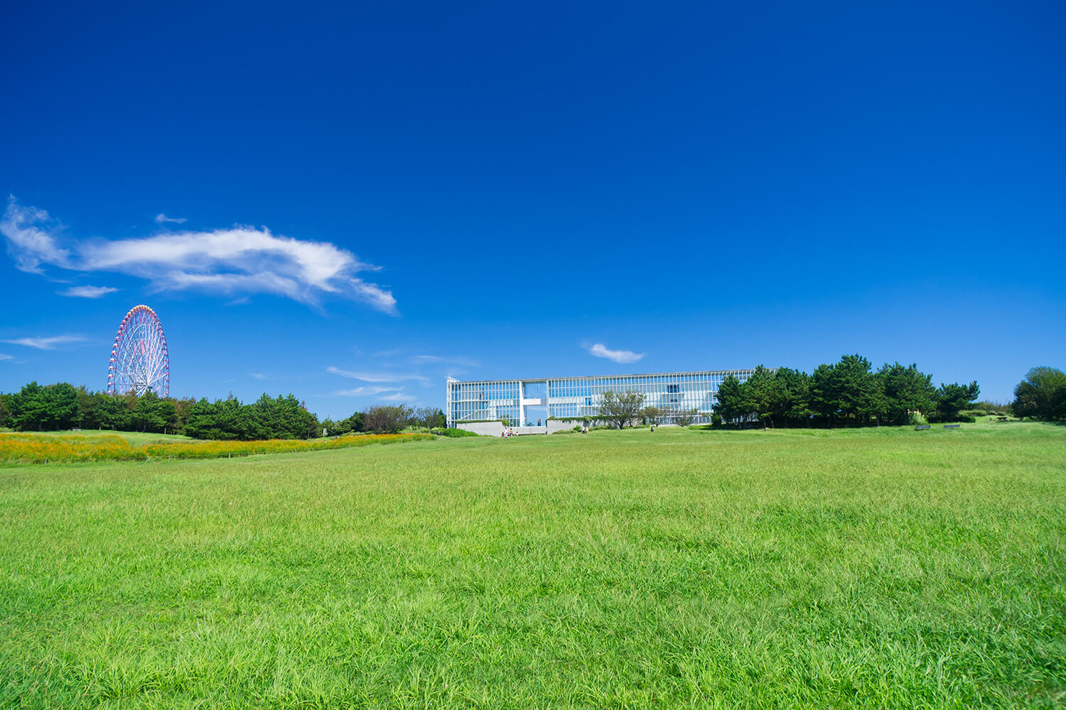 Kasai_Rinkai_Park