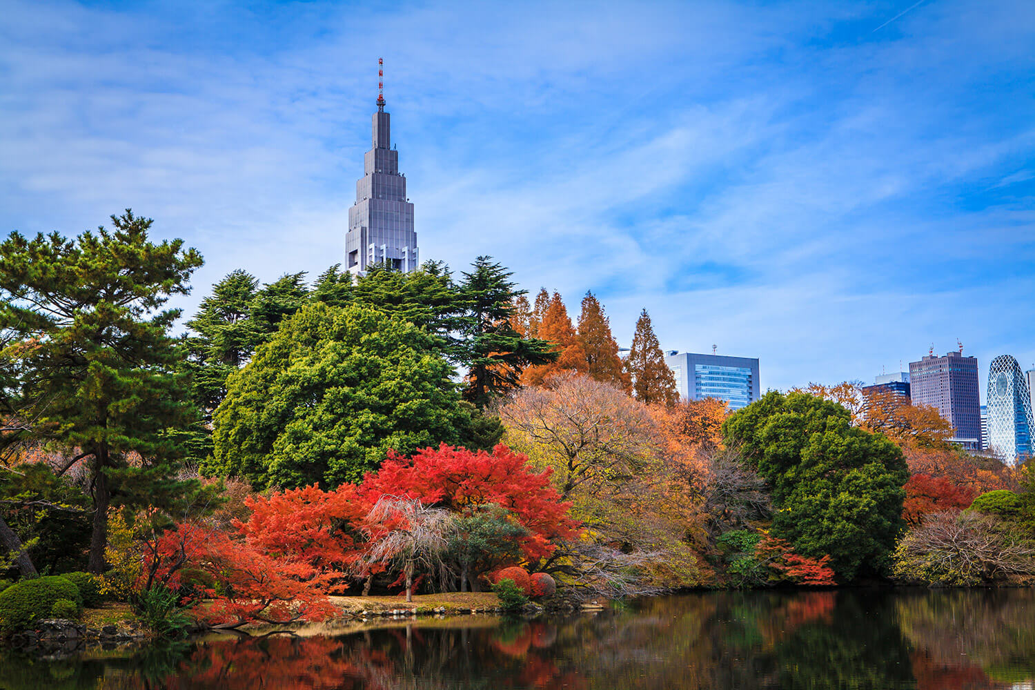 Shinjuku_Gyoen_Park