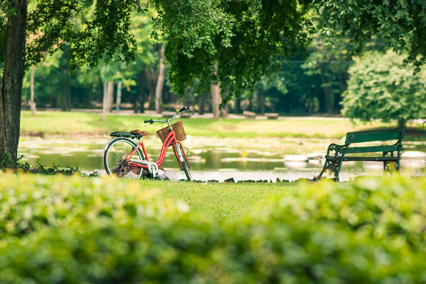 Family Firendly Park