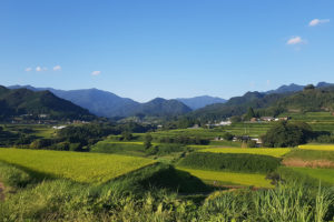 A Delicious Journey Through Kyushu