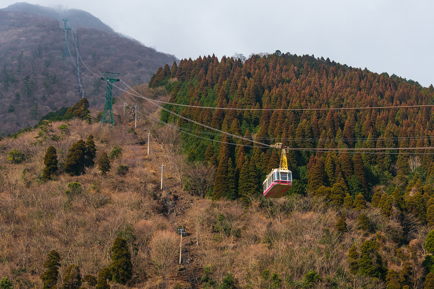 Beppu Ropeway: Mt. Tsurumi