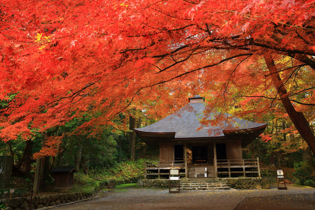 Hiraizumi_Chusonji_Iwate