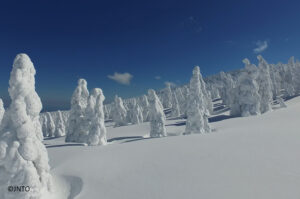 Top 5 Under the Radar Japan Ski Resorts