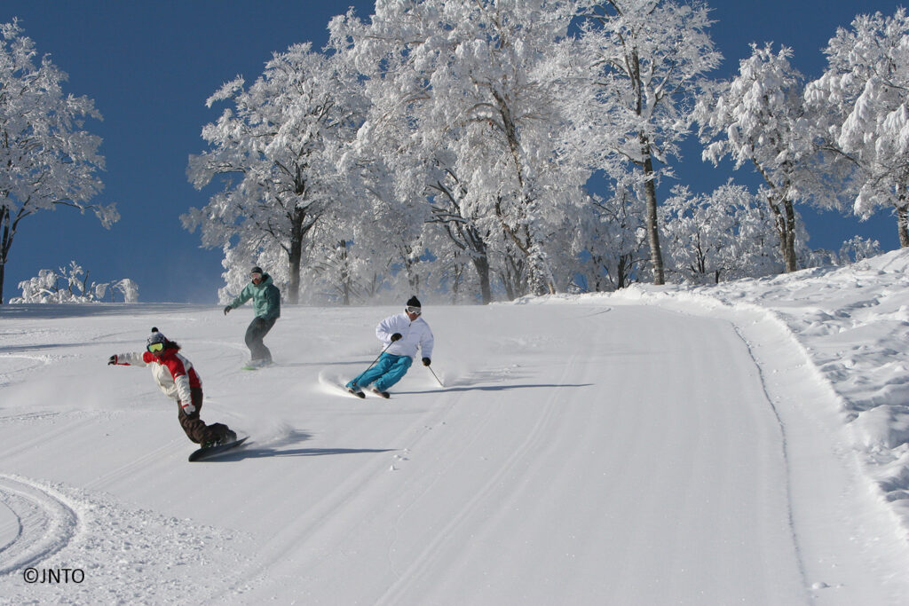 Nozawa_Onsen_Ski_resort