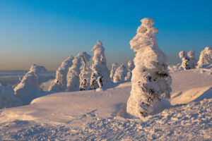 Four Great Ski Resorts in Tohoku Japan – Introducing Hidden Gems of Ski Resorts