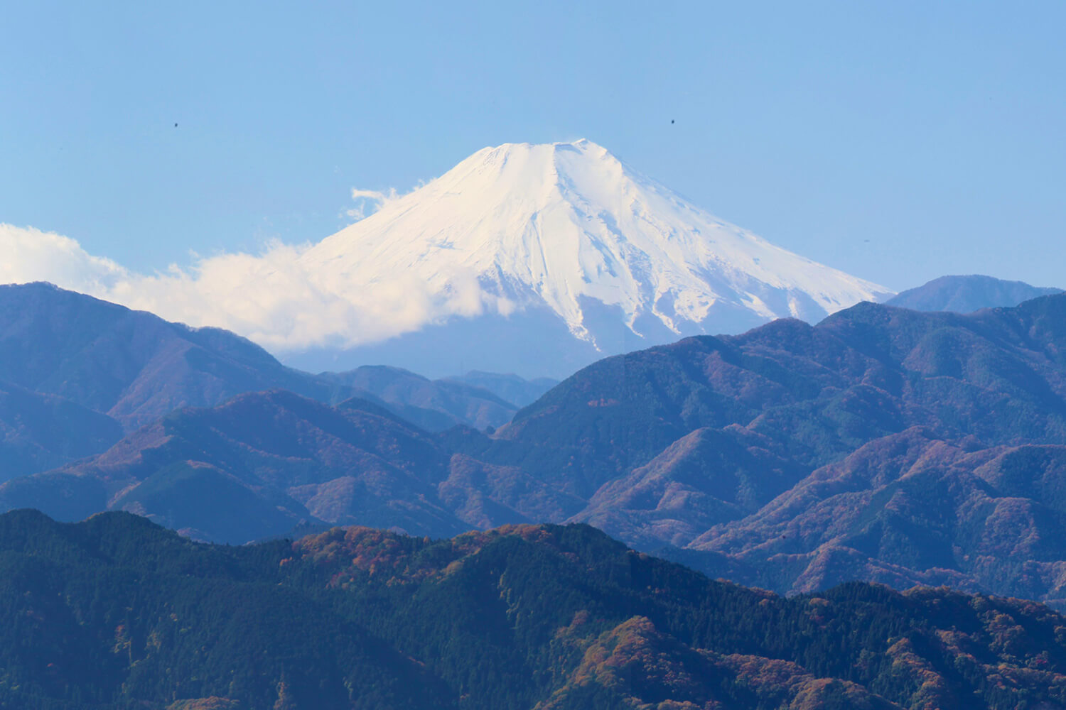 View From MT Takao