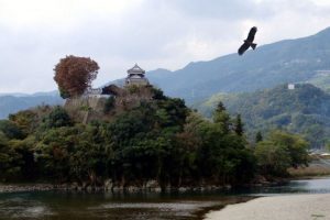 Shikoku Art & Building Tour: Exploring the Traditional and the Contemporary